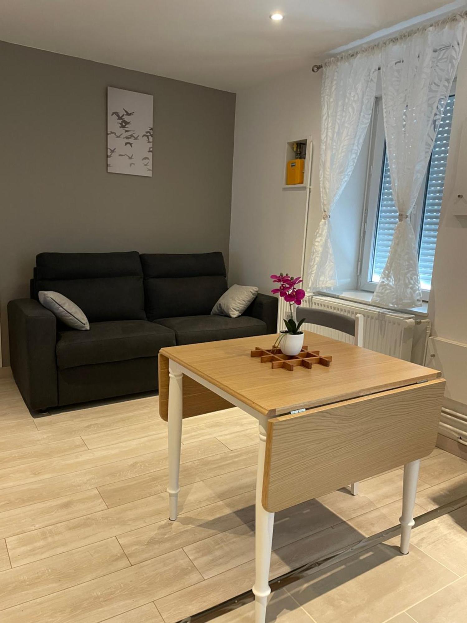 Appartement Cite Gastronomique 디종 외부 사진